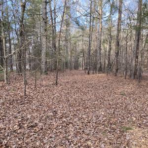 Photo #23 of SOLD property in Off Mabe Road, Star, NC 30.3 acres