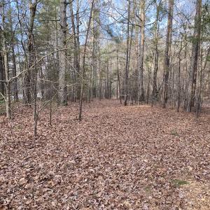 Photo #23 of SOLD property in Off Mabe Road, Star, NC 30.3 acres