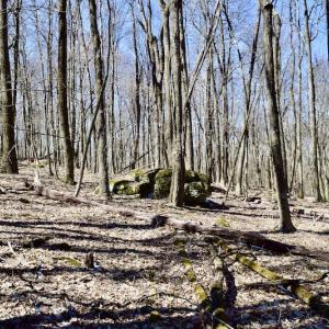 Photo #87 of SOLD property in 5117 Hot Springs Road, Hot Springs, VA 569.6 acres
