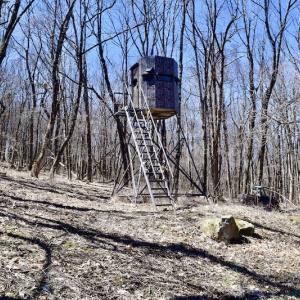 Photo #88 of SOLD property in 5117 Hot Springs Road, Hot Springs, VA 569.6 acres