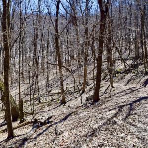 Photo #89 of SOLD property in 5117 Hot Springs Road, Hot Springs, VA 569.6 acres
