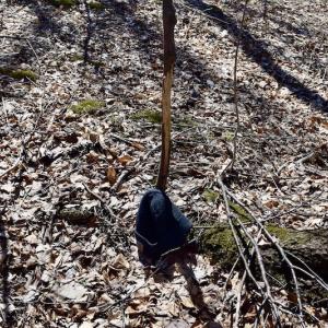 Photo #90 of SOLD property in 5117 Hot Springs Road, Hot Springs, VA 569.6 acres