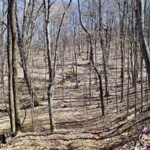 Photo #92 of SOLD property in 5117 Hot Springs Road, Hot Springs, VA 569.6 acres
