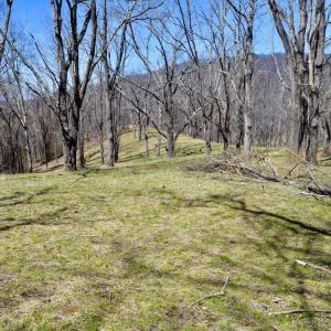 Photo #93 of SOLD property in 5117 Hot Springs Road, Hot Springs, VA 569.6 acres