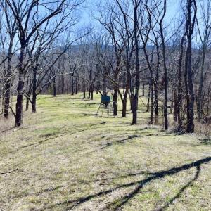 Photo #95 of SOLD property in 5117 Hot Springs Road, Hot Springs, VA 569.6 acres