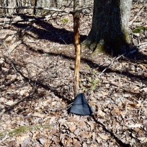 Photo #97 of SOLD property in 5117 Hot Springs Road, Hot Springs, VA 569.6 acres