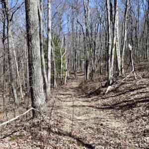 Photo #98 of SOLD property in 5117 Hot Springs Road, Hot Springs, VA 569.6 acres