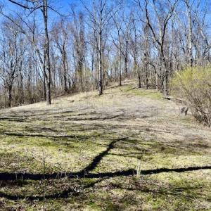 Photo #99 of SOLD property in 5117 Hot Springs Road, Hot Springs, VA 569.6 acres
