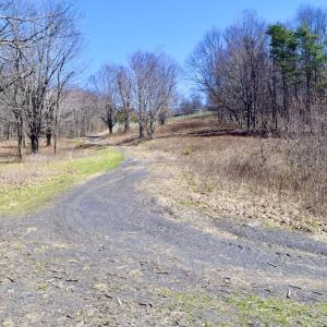 Photo #100 of SOLD property in 5117 Hot Springs Road, Hot Springs, VA 569.6 acres