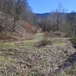 Photo #103 of SOLD property in 5117 Hot Springs Road, Hot Springs, VA 569.6 acres