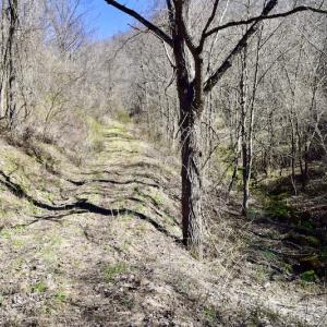 Photo #112 of SOLD property in 5117 Hot Springs Road, Hot Springs, VA 569.6 acres