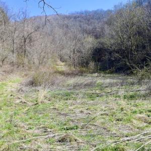 Photo #113 of SOLD property in 5117 Hot Springs Road, Hot Springs, VA 569.6 acres