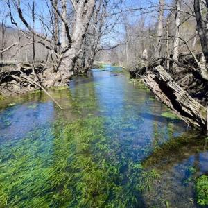 Photo #114 of SOLD property in 5117 Hot Springs Road, Hot Springs, VA 569.6 acres