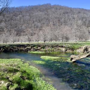 Photo #115 of SOLD property in 5117 Hot Springs Road, Hot Springs, VA 569.6 acres