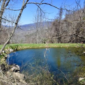 Photo #17 of SOLD property in 5117 Hot Springs Road, Hot Springs, VA 569.6 acres