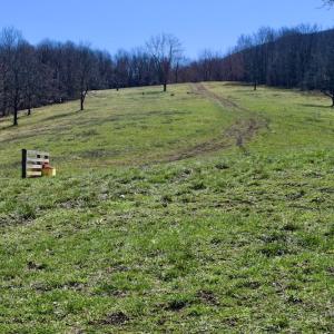 Photo #66 of SOLD property in 5117 Hot Springs Road, Hot Springs, VA 569.6 acres