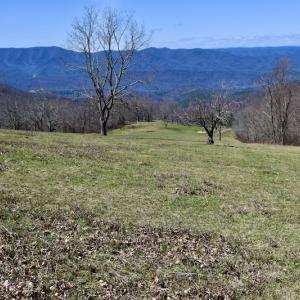 Photo #69 of SOLD property in 5117 Hot Springs Road, Hot Springs, VA 569.6 acres