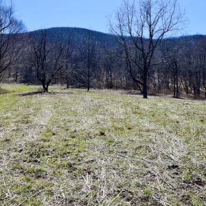 Photo #72 of SOLD property in 5117 Hot Springs Road, Hot Springs, VA 569.6 acres
