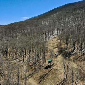 Photo #74 of SOLD property in 5117 Hot Springs Road, Hot Springs, VA 569.6 acres