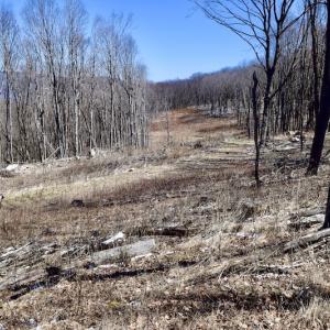 Photo #78 of SOLD property in 5117 Hot Springs Road, Hot Springs, VA 569.6 acres
