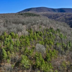 Photo #82 of SOLD property in 5117 Hot Springs Road, Hot Springs, VA 569.6 acres