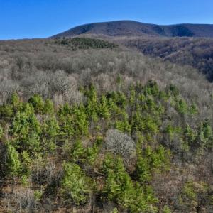 Photo #82 of SOLD property in 5117 Hot Springs Road, Hot Springs, VA 569.6 acres
