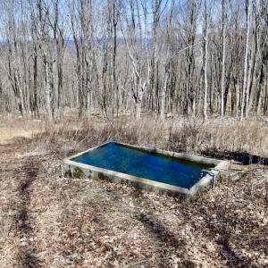 Photo #83 of SOLD property in 5117 Hot Springs Road, Hot Springs, VA 569.6 acres
