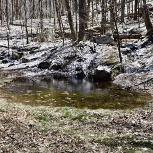 Photo #84 of SOLD property in 5117 Hot Springs Road, Hot Springs, VA 569.6 acres