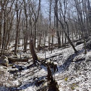 Photo #85 of SOLD property in 5117 Hot Springs Road, Hot Springs, VA 569.6 acres