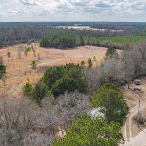 Photo #11 of SOLD property in Off Dewberry Lane, Roseboro, NC 4.3 acres