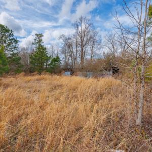 Photo #19 of SOLD property in Off Dewberry Lane, Roseboro, NC 4.3 acres