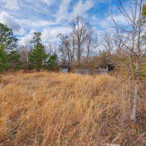 Photo #19 of SOLD property in Off Dewberry Lane, Roseboro, NC 4.3 acres