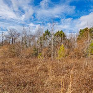 Photo #20 of SOLD property in Off Dewberry Lane, Roseboro, NC 4.3 acres