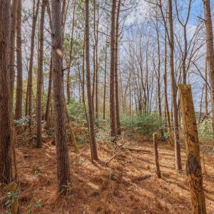 Photo #22 of SOLD property in Off Dewberry Lane, Roseboro, NC 4.3 acres