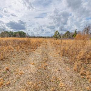 Photo #23 of SOLD property in Off Dewberry Lane, Roseboro, NC 4.3 acres