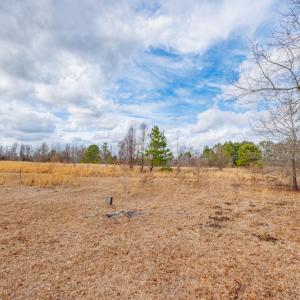 Photo #25 of SOLD property in Off Dewberry Lane, Roseboro, NC 4.3 acres
