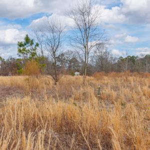 Photo #26 of SOLD property in Off Dewberry Lane, Roseboro, NC 4.3 acres