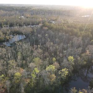 Photo #3 of SOLD property in Off Launch Drive, Bolivia, NC 32.2 acres