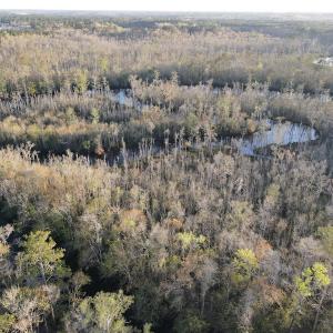 Photo #4 of SOLD property in Off Launch Drive, Bolivia, NC 32.2 acres