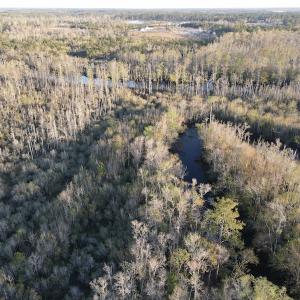 Photo #5 of SOLD property in Off Launch Drive, Bolivia, NC 32.2 acres