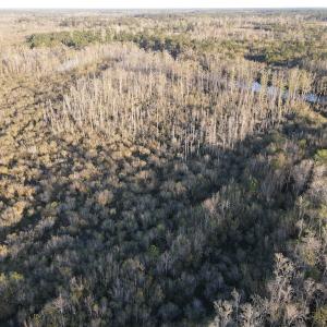 Photo #6 of SOLD property in Off Launch Drive, Bolivia, NC 32.2 acres