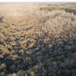 Photo #7 of SOLD property in Off Launch Drive, Bolivia, NC 32.2 acres