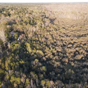 Photo #8 of SOLD property in Off Launch Drive, Bolivia, NC 32.2 acres