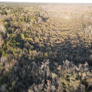 Photo #9 of SOLD property in Off Launch Drive, Bolivia, NC 32.2 acres