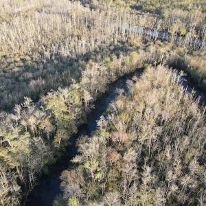 Photo #11 of SOLD property in Off Launch Drive, Bolivia, NC 32.2 acres
