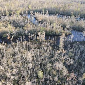 Photo #12 of SOLD property in Off Launch Drive, Bolivia, NC 32.2 acres