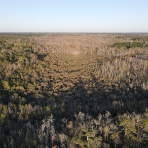 Photo #13 of SOLD property in Off Launch Drive, Bolivia, NC 32.2 acres