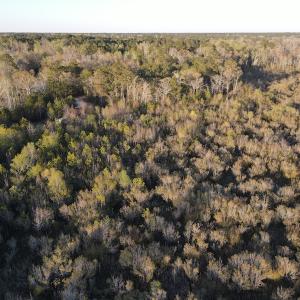 Photo #14 of SOLD property in Off Launch Drive, Bolivia, NC 32.2 acres
