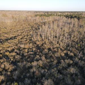 Photo #15 of SOLD property in Off Launch Drive, Bolivia, NC 32.2 acres