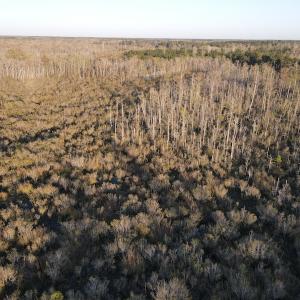 Photo #15 of SOLD property in Off Launch Drive, Bolivia, NC 32.2 acres